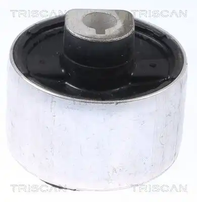 Рычаг подвески TRISCAN 8500 25877