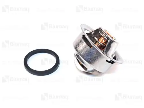 Термостат системы охлаждения BLUMAQ 5I-8010
