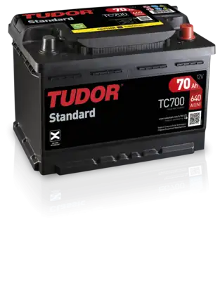 Аккумулятор TUDOR TC700