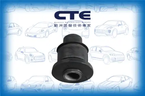 Рычаг подвески CTE CBH03014
