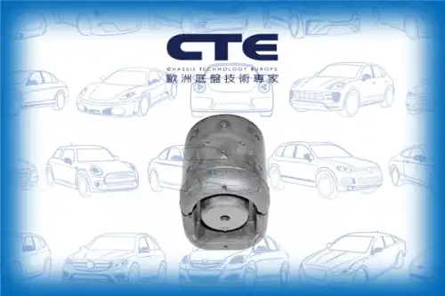 Рычаг подвески CTE CBH06008