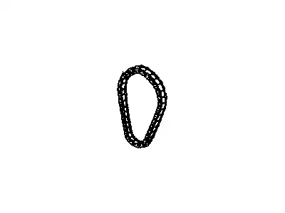 CHAIN,CM/SHF TMG(HAS OVAL LINKS) 25535094 BUICK