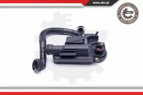 Клапан 31SKV163 SKV