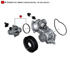 Термостат системы охлаждения WENDERW WETR033