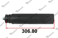 ASCTO1019 Пыльник стойки TENACITY