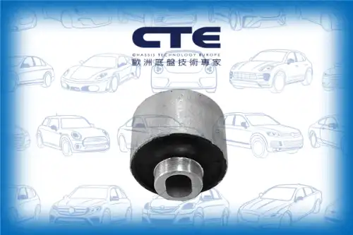 Рычаг подвески CTE CBH21023