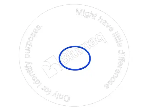 SEAL-O-RING уплотнение 3107255 BLUMAQ
