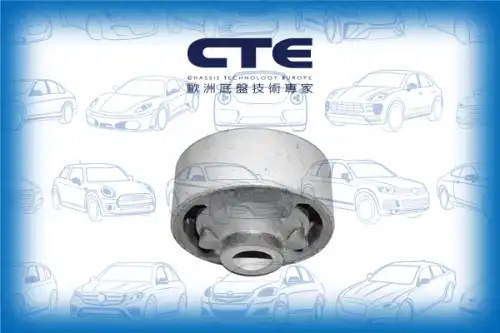 Рычаг подвески CTE CBH02024