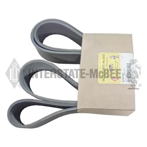Belt - Fan M3002203 MCBEE