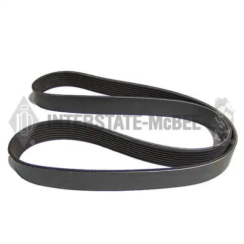 Belt - Ribbed M3929967 MCBEE