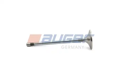 Впускной клапан \MAN 103101 AUGER