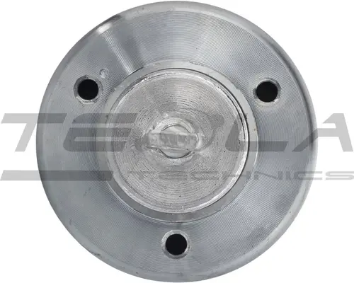 TT76489 Электромагнит TESLA TECHNICS