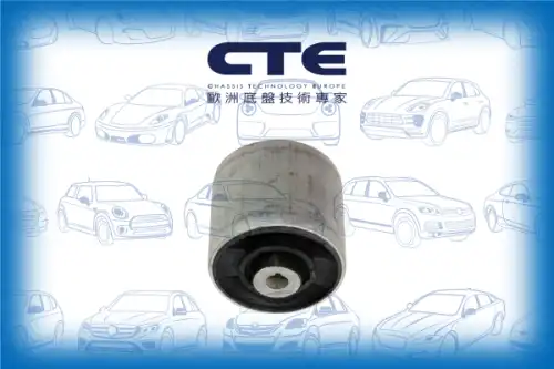 Рычаг подвески CTE CBH19040