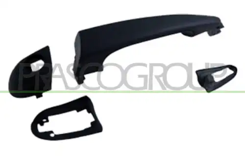 Ручка двери PRASCO BM0188002