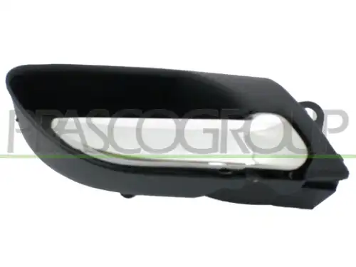 Ручка двери PRASCO BM0188401