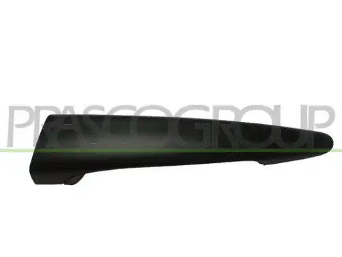 Ручка двери PRASCO BM0208004