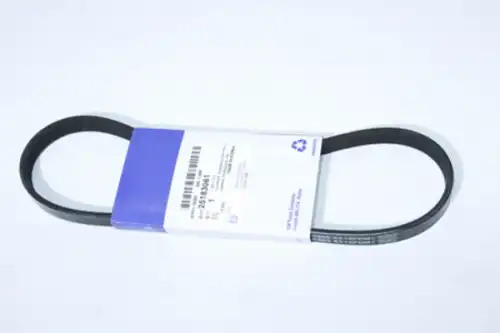 GM 25183061 665 мм