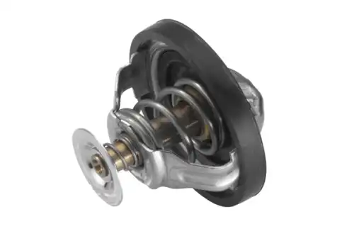 Термостат системы охлаждения BORG WARNER 448990D