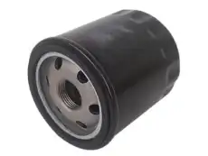 Фильтр масляный DODGE 2AML00339A