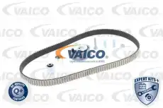 ремкомплект ГРМ Audi V10-4233 VAICO