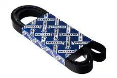 Ремень поликлиновый STELLOX 97-01605-SX PK 1605 мм