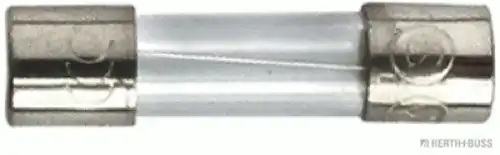 Предохранитель 50295005 HERTH+BUSS