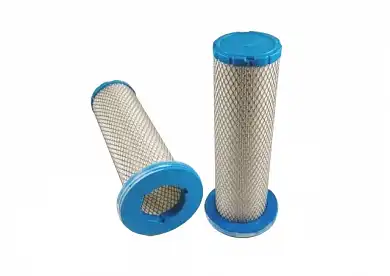 Air Intake Systems \ AF25732 FLEETGUARD