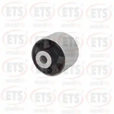 Рычаг подвески ETS 03.SB.624