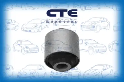 Рычаг подвески CTE CBH03073