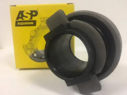 ASP BC0262