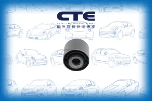 Рычаг подвески CTE CBH31029