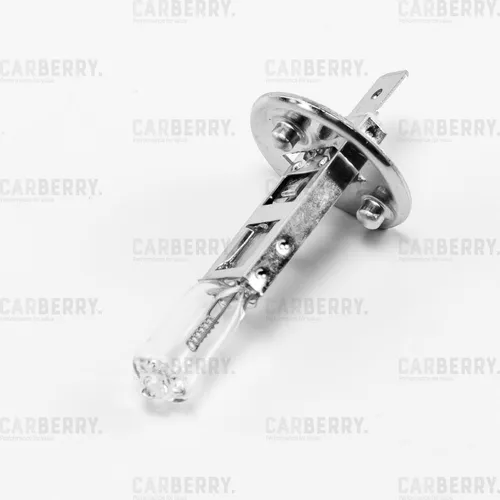 Автолампа CARBERRY 31CA50 H1 24