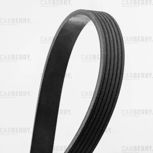 CARBERRY 6PK1730 1730 мм