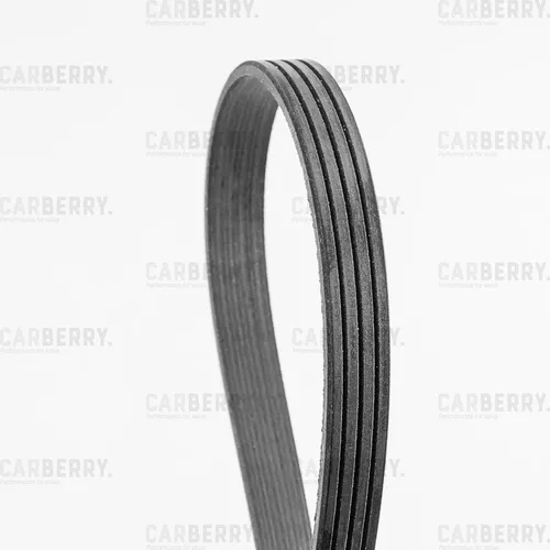 CARBERRY 4PK960