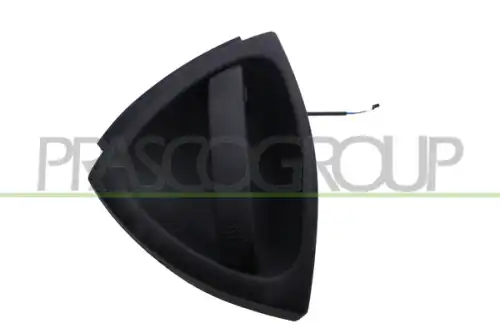 Ручка двери PRASCO ME3028001