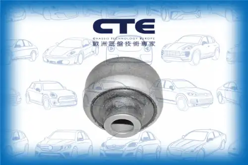 Рычаг подвески CTE CBH03042