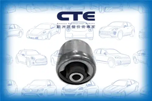 Рычаг подвески CTE CBH03066