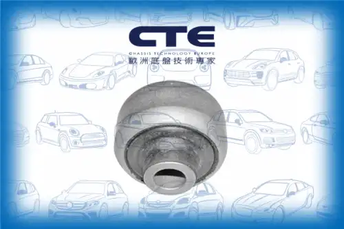 Рычаг подвески CTE CBH03070