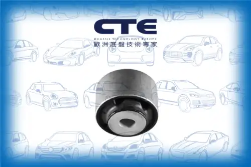 Рычаг подвески CTE CBH03075
