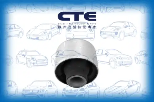 Рычаг подвески CTE CBH21024