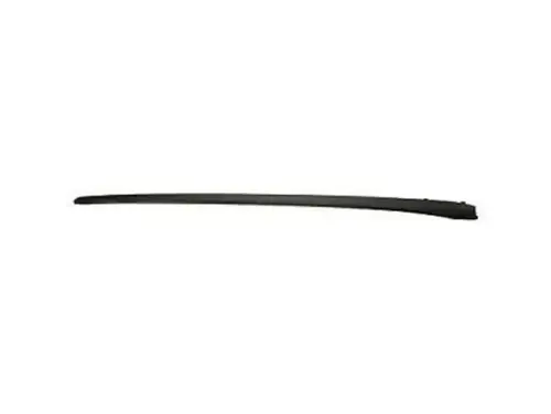 MOLDING,W/S SI RVL(BLACK) 92212084 CHEVROLET