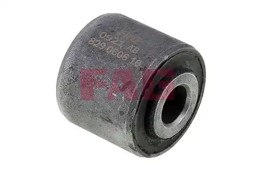 Рычаг подвески FAG 829 0606 10