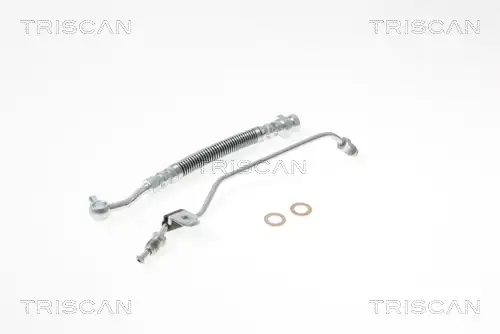 Тормозной шланг 8150 18229 TRISCAN
