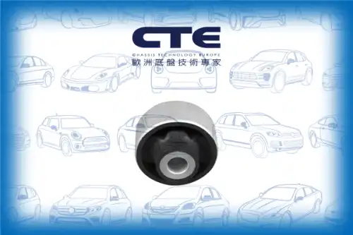 Рычаг подвески CTE CBH22022