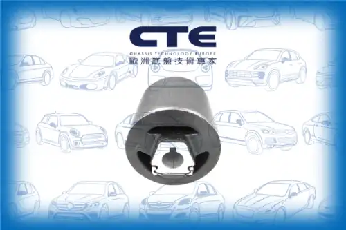 Рычаг подвески CTE CBH09041