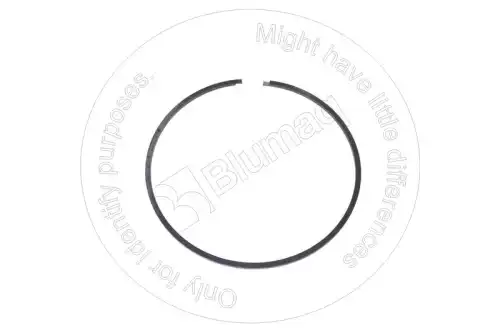 RING кольцо 1T0069 BLUMAQ