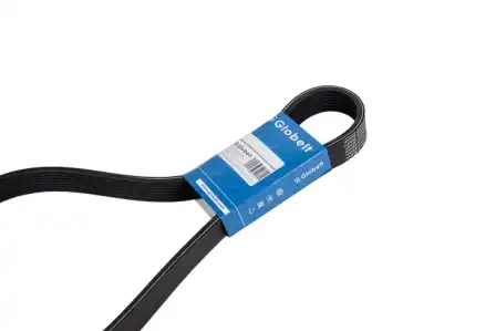 GLOBELT 8PL1562