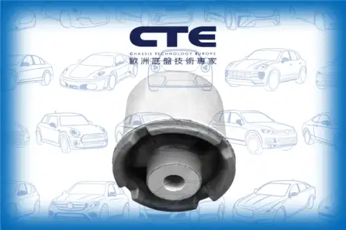 Рычаг подвески CTE CBH21045