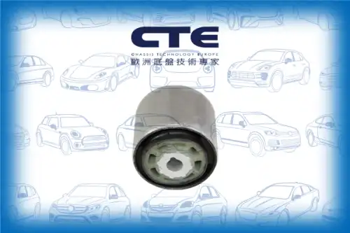 Рычаг подвески CTE CBH21052