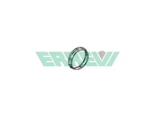 Кольцо уплотнительное автомобильное ERREVI 726873